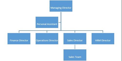 Figure 1: Company Structure Diagram